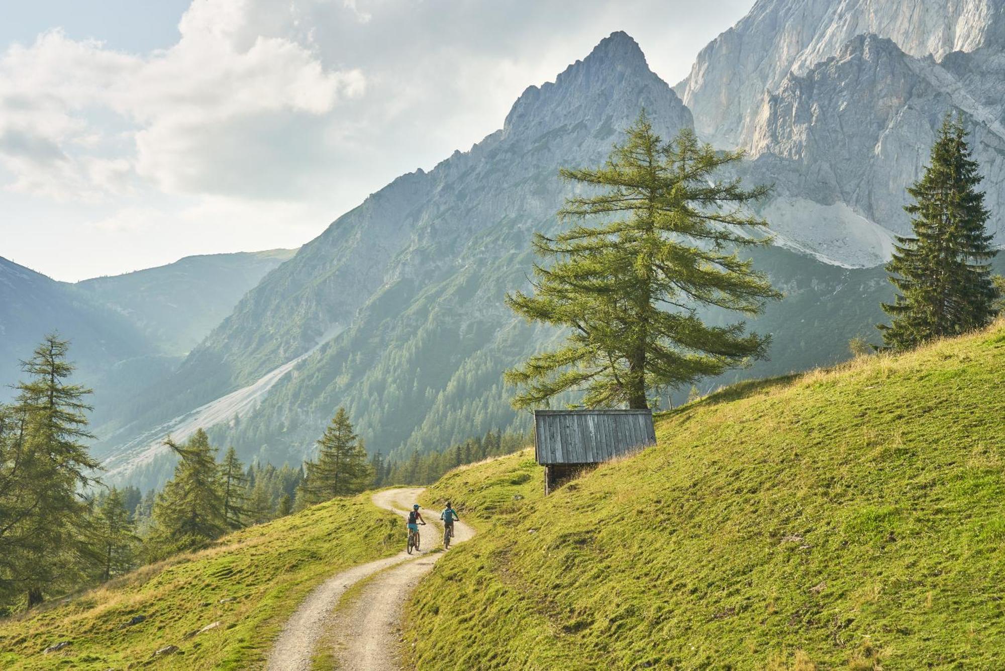 Bio-Bauernhof Simonbauer Villa Ramsau am Dachstein Exterior foto